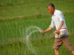 加強(qiáng)生物固氮科技創(chuàng)新，助力耕地資源保護(hù)與耕地質(zhì)量提升