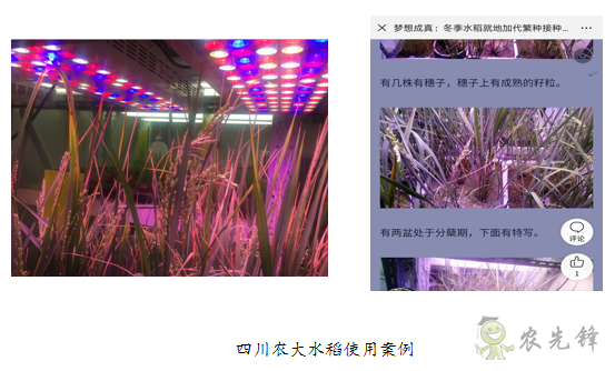 廣譜高強(qiáng)植物燈A