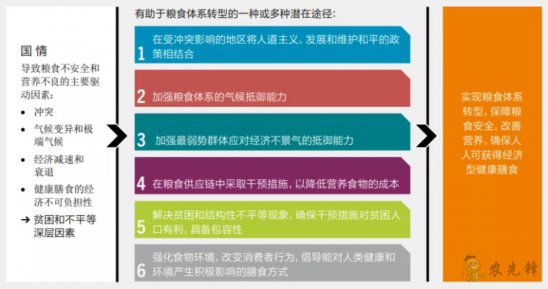 全球12%的人口面臨重度糧食不安全 世界糧食體系亟待轉型