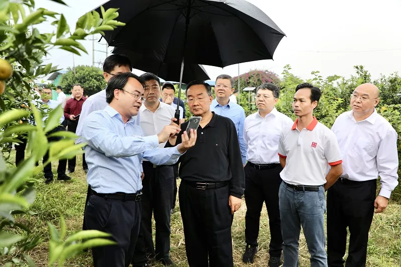 唐仁健：做大做強特色產業，扎實推進鄉村建設