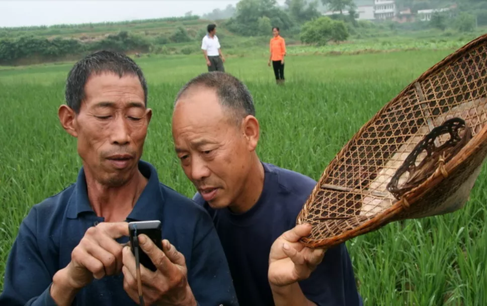 白描 苑鵬：現(xiàn)代化進程中我國農(nóng)民全面發(fā)展的痛點